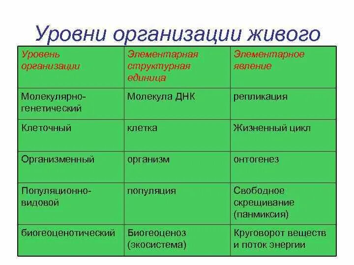 Верная последовательность биологических систем. Основные процессы уровней организации живой материи. Уровни организации биологических систем. Таблица по биологии уровни организации живой природы. Уровни организации жизни таблица процессы.