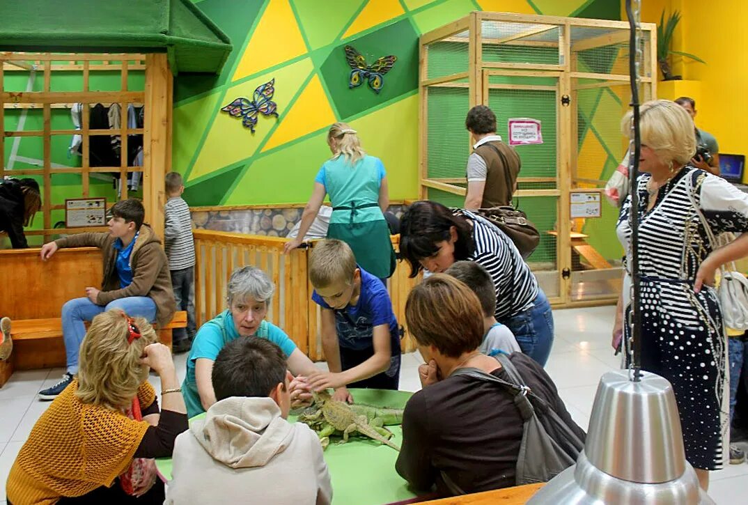 Игровые центры королев. Детские игровые залы и площадки, королёв. Детские центры королева. Детские центры королева. Детский центр в королеве.