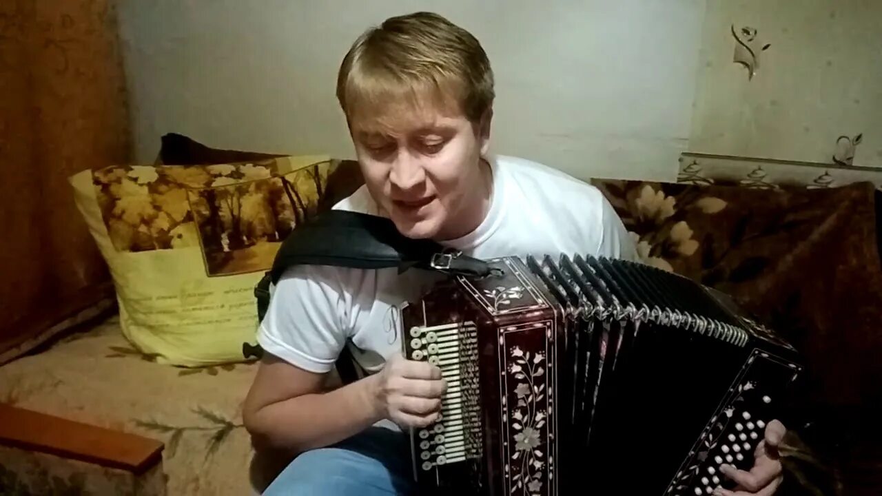 Шипков магазин. Шипков гармонист. Шипков магазин. Шипков гармонист. Шипков магазин.