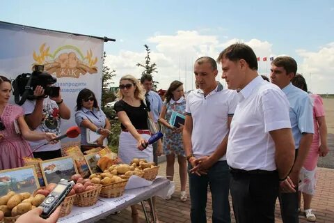 Тульские кфх