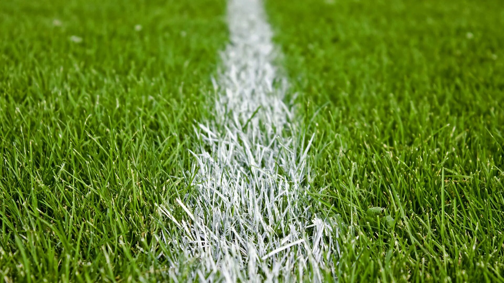 Футбольный газон. Газон футбол. Искусственный газон для футбольного поля. Искусственный спортивный газон. Футбольное поле.