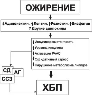 Ожирение почках