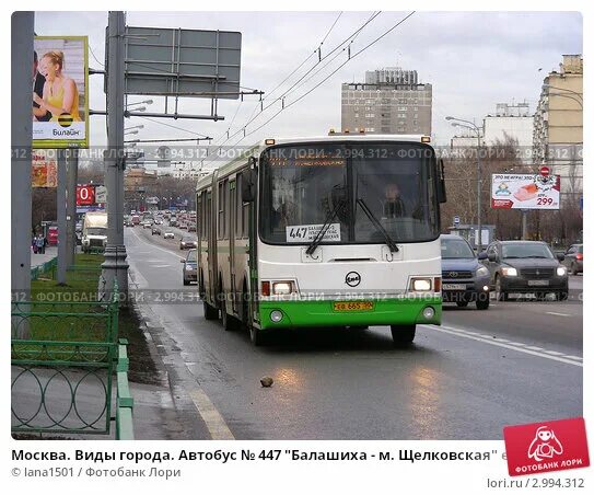 Маршрутка балашиха метро. 447к Балашиха. Автобус 447 Балашиха. Маршрут 447 Балашиха. Маршрут 447 автобуса Москва.