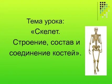 Кости 8 месяцев