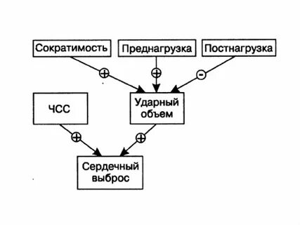 Постнагрузка