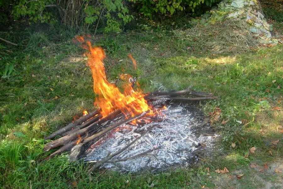 Где запрещено разводить костры на сухой траве. Костер на участке. Костер на территории. Сжигание травы на участке.