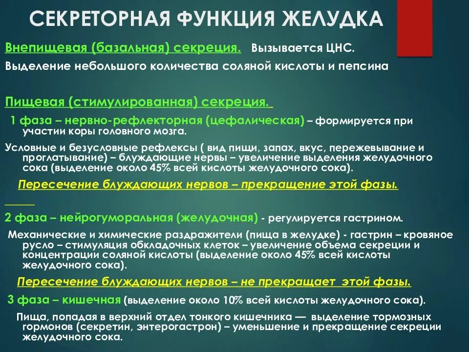 Секреторная функция желудка. Исследование базальной секреции желудка. Секреторная функция желудка состоит:. Секреторная деятельность желез желудка.