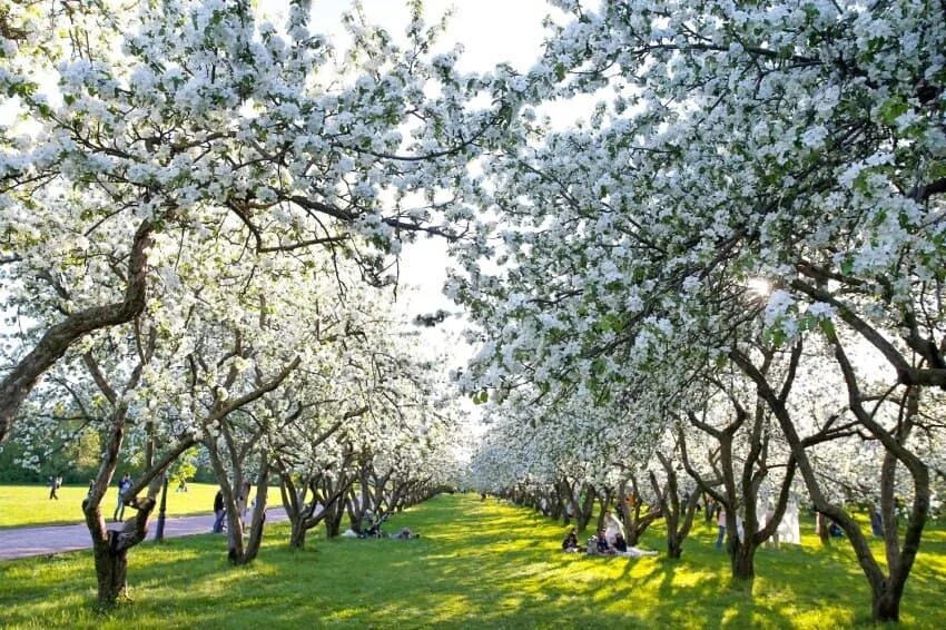 Weather spring