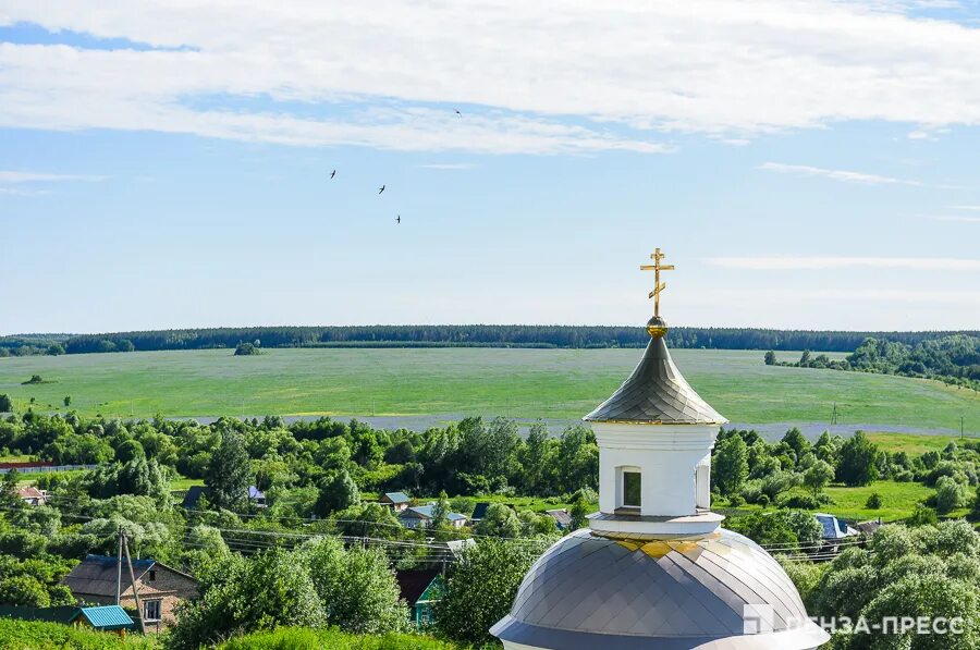 Живо пензенской области. Пензенская область Пенза. Пенза природа. Красивые места Пензенской области. Пейзажи Пензенской области.