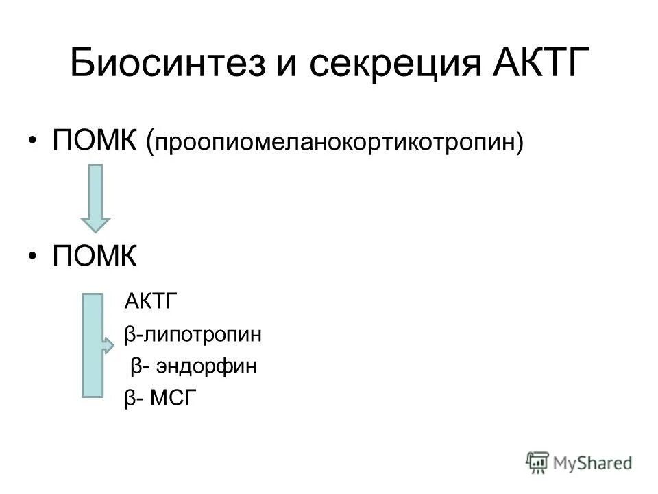 Секреция АКТГ. Синтез и секреция АКТГ. Регуляция секреции АКТГ. ПОМК АКТГ.