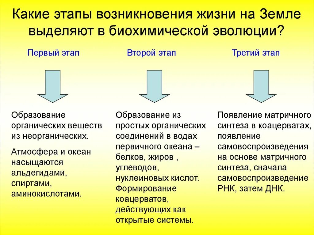 Гипотеза биохимической эволюции этапы