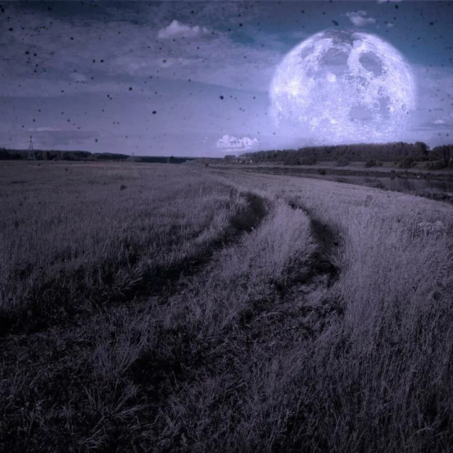 Ночное поле. Лунная ночь. Ночное поле с луной. Поле ночью.