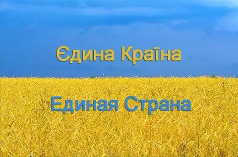 Единая страна 1 1