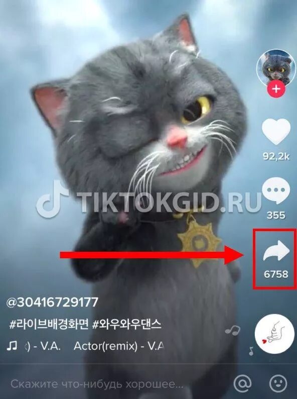 симбочка котик из тик тока. Maxwell cat. кот кэт. кот танцует из тиктока. танцующий кот тик ток.