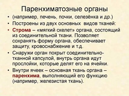 Почка какой орган паренхиматозный