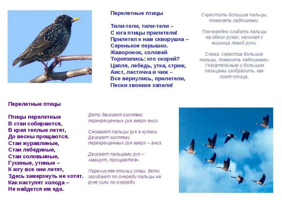 Стихи про перелетных птиц для детей. Стихи о перелетных птицах в старшей группе. Стих о пнрелетных птицах. Стихи про птиц для детей.