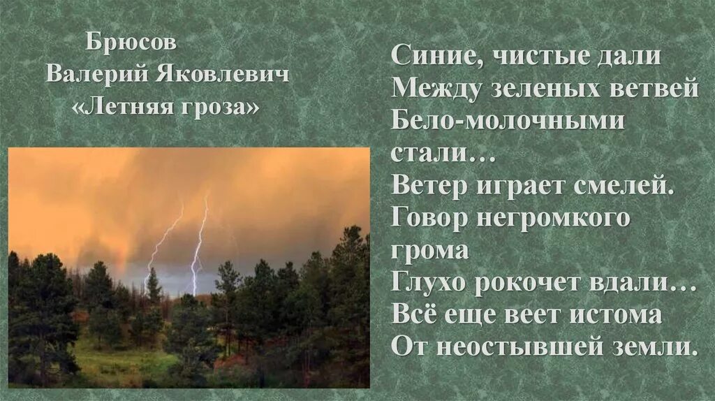 Летняя гроза стих Брюсова. Стихотворение летняя гроза Брюсов. Брюсов летняя гроза в иллюстрациях. Буря с берега брюсов