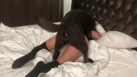 Youtube porno dog â¤ï¸ Best adult photos at szex.pics