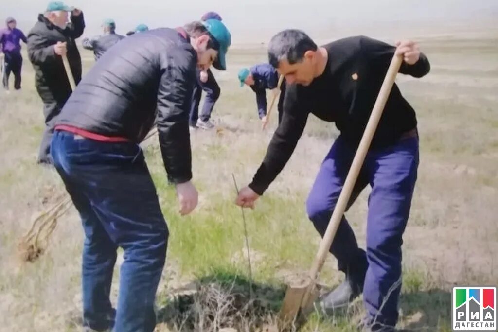 Погода в нижнем дженгутае. Верхний Дженгутай. Нижний Дженгутай Дагестан фото. Школа Нижнего Дженгутая. Верхний Дженгутай школа ученики.