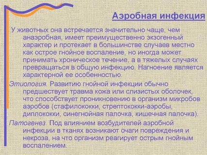 Аэробные и анаэробные инфекции