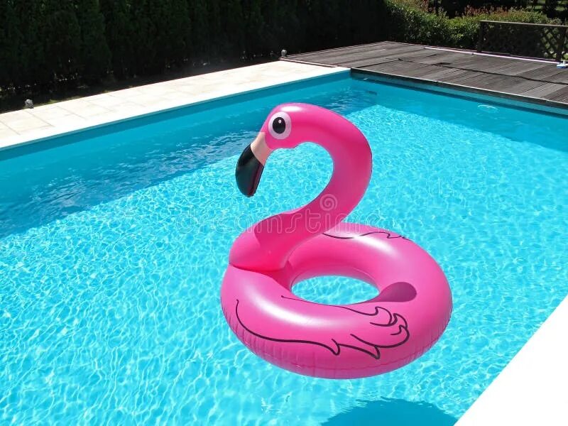 Отель фламинго бассейн