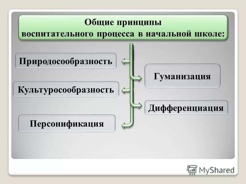 Принципы воспитательного процесса. Принципы учебно-воспитательного процесса. Принципы организации воспитательного процесса. Особенности воспитательного процесса. Воспитательные принципы в школе