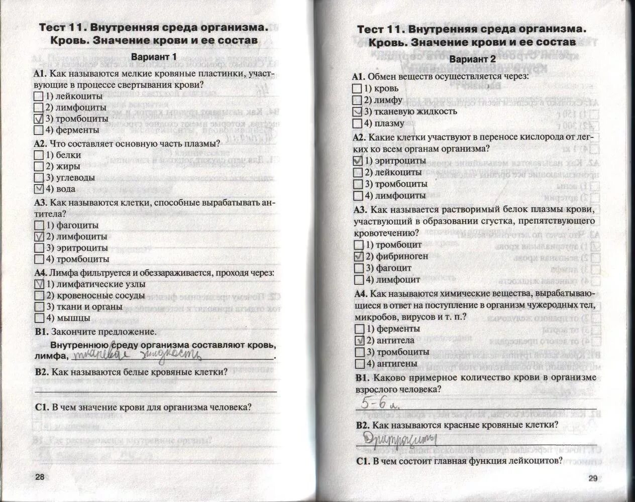 Тест по биологии 8 класс ЯКЛАСС. Биология 9 класс тесты. Тест по теме кожа.