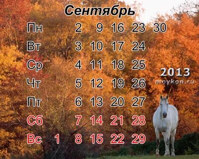 Сентябрь 2013