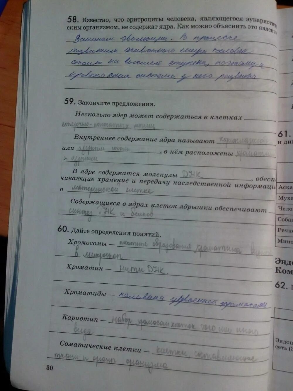 Краткий конспект по биологии 9 класс пасечник. Краткий конспект по биологии 9 класс пасечник
