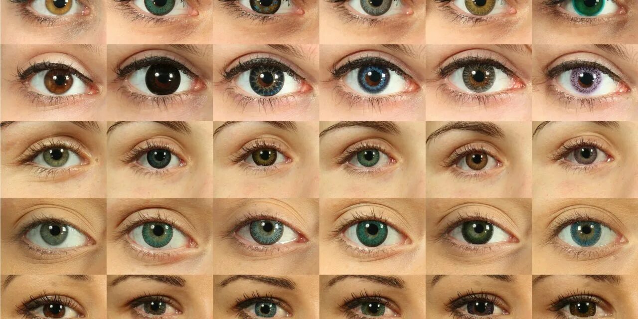 Оттенки глаз. Всевозможные оттенки глаз. Цвета глаз у человека. Глаза всех цветов. Какого цвета глазки