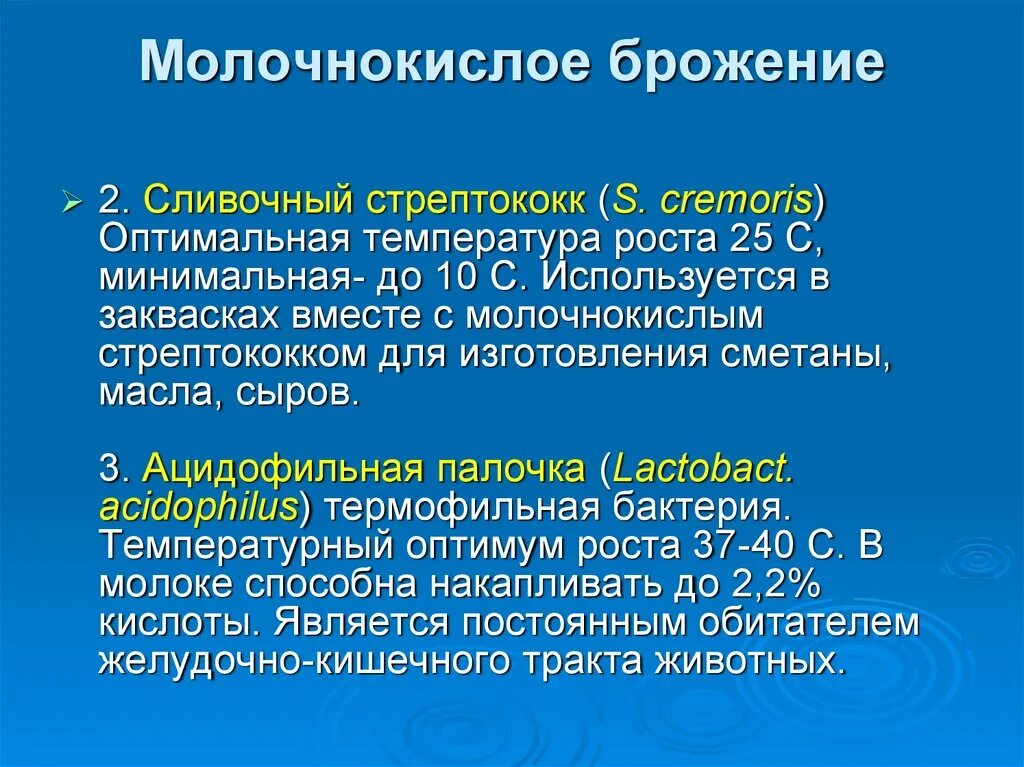 Молочнокислые бактерии при какой температуре. Процесс молочнокислого брожения. Суммарное уравнение молочнокислого брожения. Молочно кислое юрожение. Молочнок слое брожение.