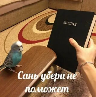 Санечка снимаешь