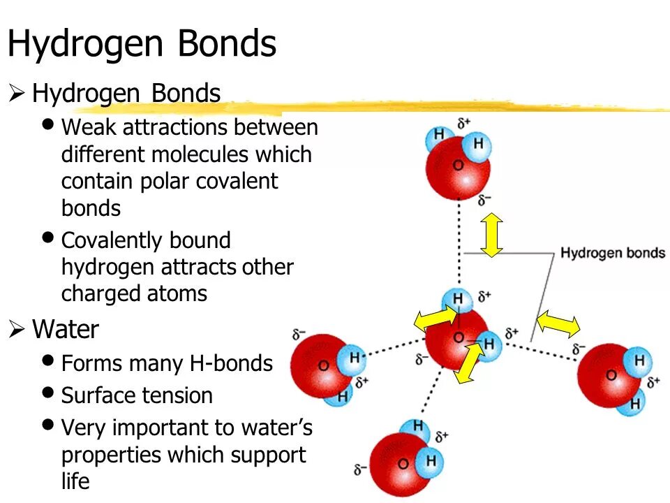 Other charge. Hydrogen bonding. Bonding hydrogen Bonds. Covalent and hydrogen Bonds. Hydrogen Bonds Water.