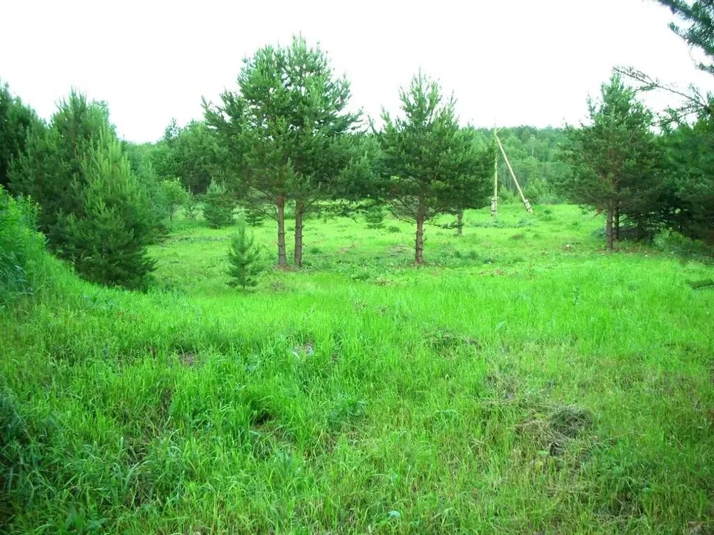 Участок 17 34. 17 гектар в метрах. Участок 17 34. Участок 17 34. Участок 17 34.