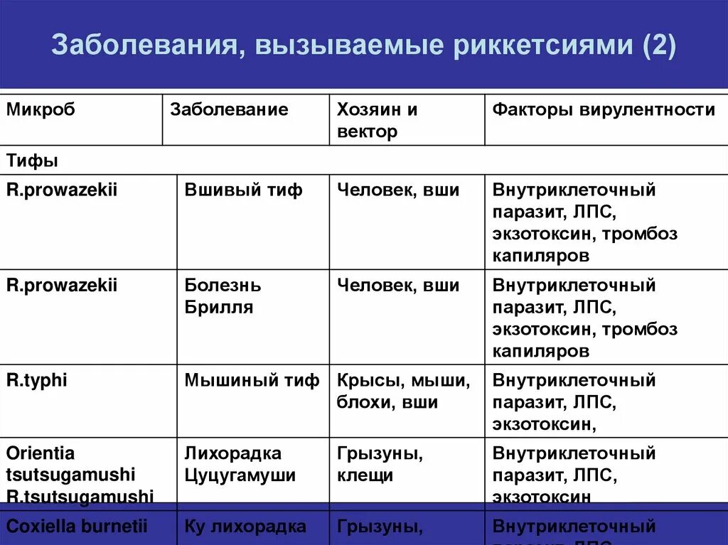 Инфекции вызванные простейшими. Факторы патогенности сыпного тифа. Болезни вызываемые риккетсиями. Инфекции вызванные риккетсиями. Риккетсии заболевания человека.