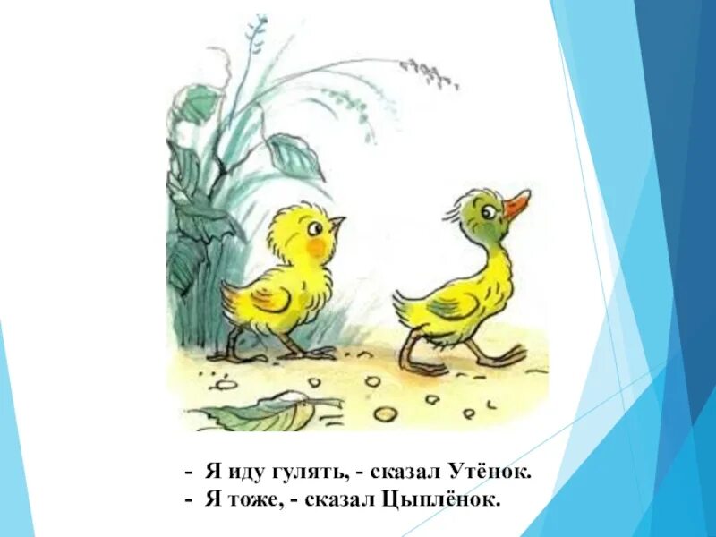 Скажи утку. Я тоже сказал цыпленок. Я пошел гулять, сказал утенок, я тоже сказал цыпленок. Мама утка пошла гулять. Пять утят пошли гулять.