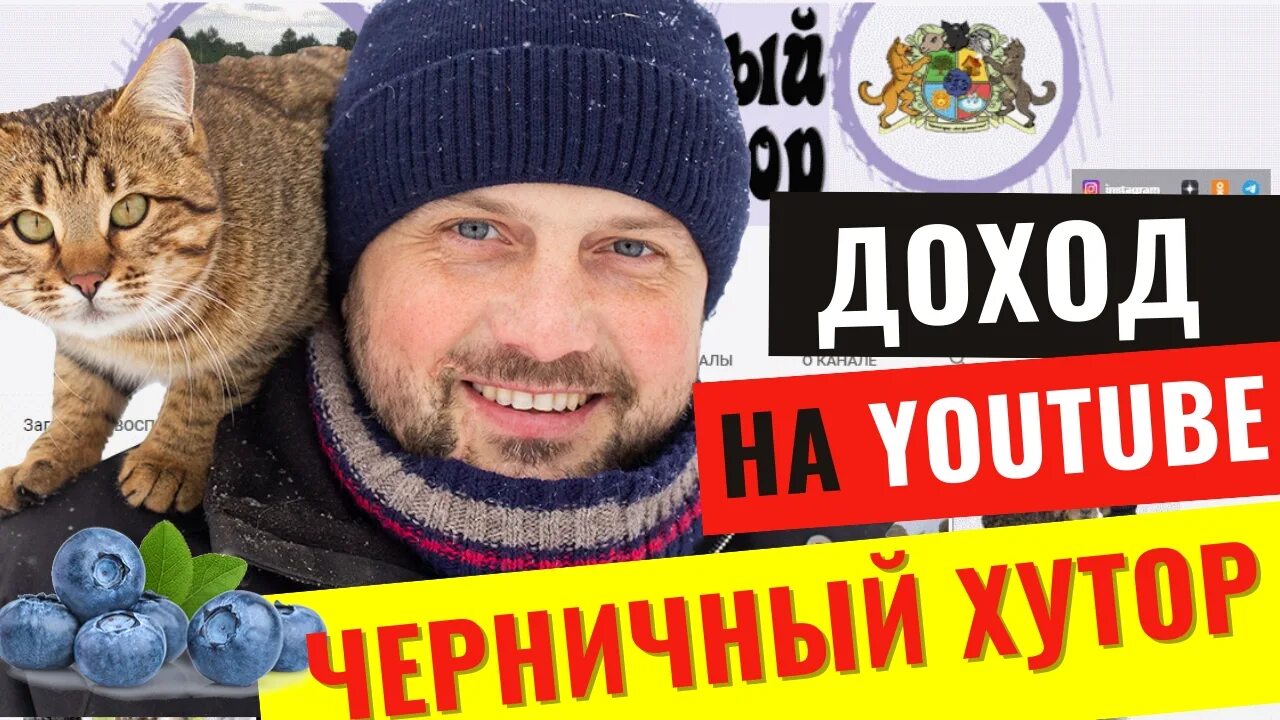 Канал черничного хутора видео. Черничный Хутор. Черничный Хутор 2021. Канал черничный Хутор. Черничный Хутор юту.