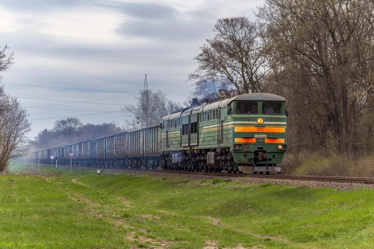 Гомельская железная дорога. 2тэ10у 0064. Тепловоз. Белорусские железные дороги. Локомотив поезд.