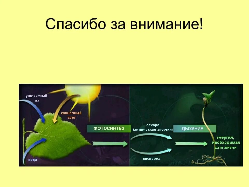 Эта картинка говорит сама за себя.