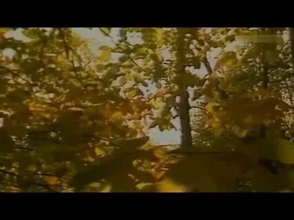 Слушать песню осень листьями