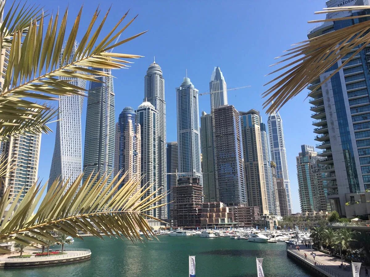 Uae какая страна