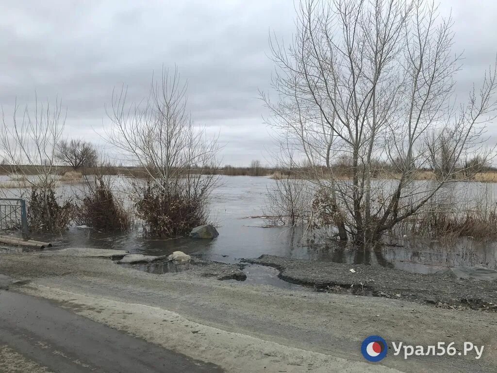 Река орь оренбургская область. Орск мост через Урал. Река Орь в Орске. Мост через Орь Орск. Речка фото.