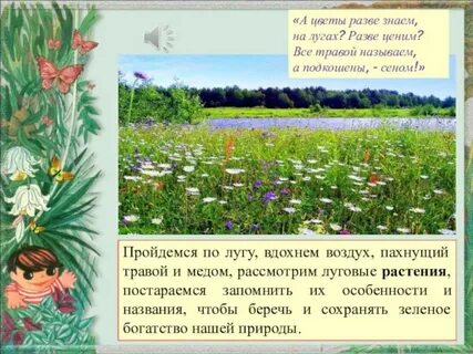 Мама сережи и нади в ботаническом саду
