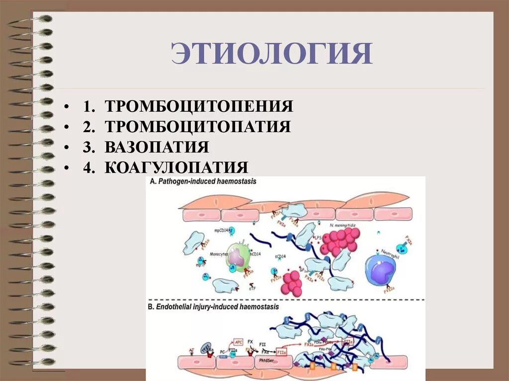 Патофизиология гемостаза