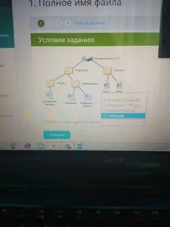 Что из предложенного можно считать полным именем