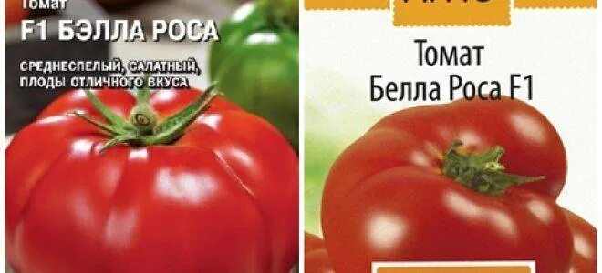 Белые росы томат. Белые росы томат. Белые росы томат. Томат семеныч f1. Томат бэлла роса f1.