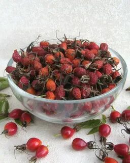 Можно ли собирать шиповник после заморозков