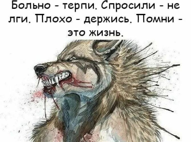 Мне не больно я терплю. Больно держись. Больно терпи спросили не лги плохо держись Помни это жизнь. Волк терпит. Больно терпи.