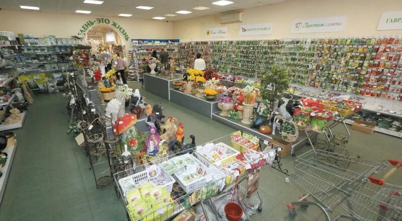 садовод липецк. садовый магазин липецк. вещевой магазин мужчин. империя садоводства интернет магазин. магазин усадьба юбилейный.