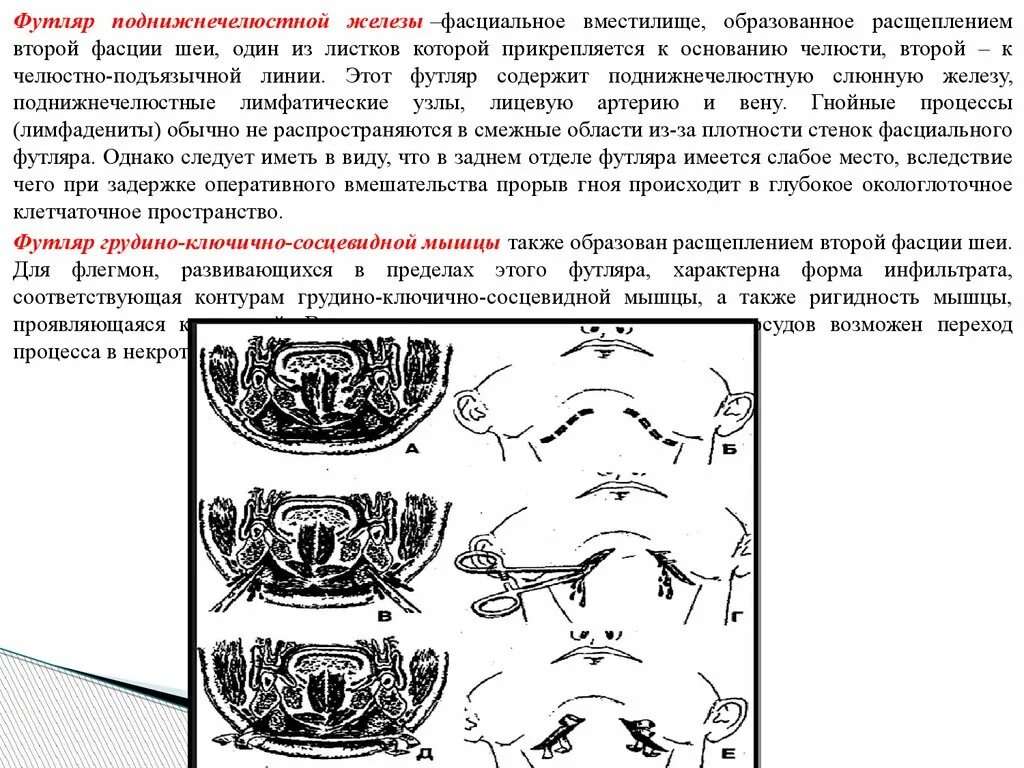 Пространства дна полости рта. Клетчаточные пространства подчелюстной области. Поднижнечелюстное клетчаточное пространство топография. Футляр поднижнечелюстной железы. Окологлоточное клетчаточное пространство фасции.